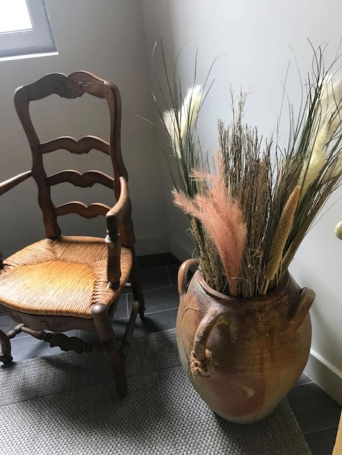 La Doucette Provencale Cozy Nest In Avignon Apartment Luaran gambar